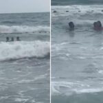 denizde korku dolu anlar rip akintisi sonlari oluyordu WJzvWRwN