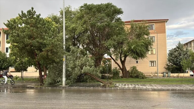 erzincanda saganak ve firtina VGM26UPb