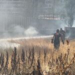 sivasta otluk yangini IYiU3MYY