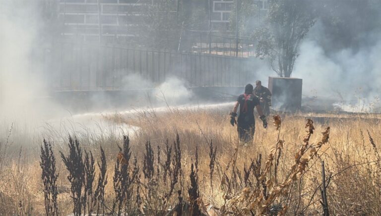 sivasta otluk yangini IYiU3MYY