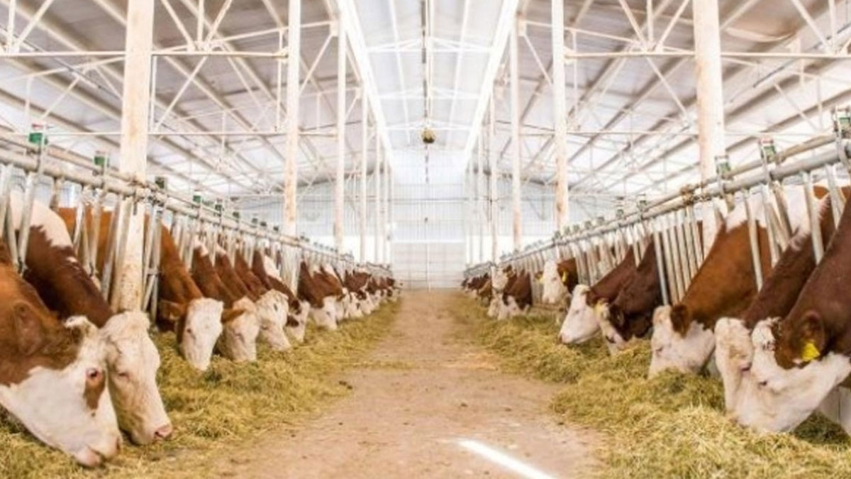 eski hukumlu devlet destegiyle basladi 6 yildir surduruyor OH4tfAbg