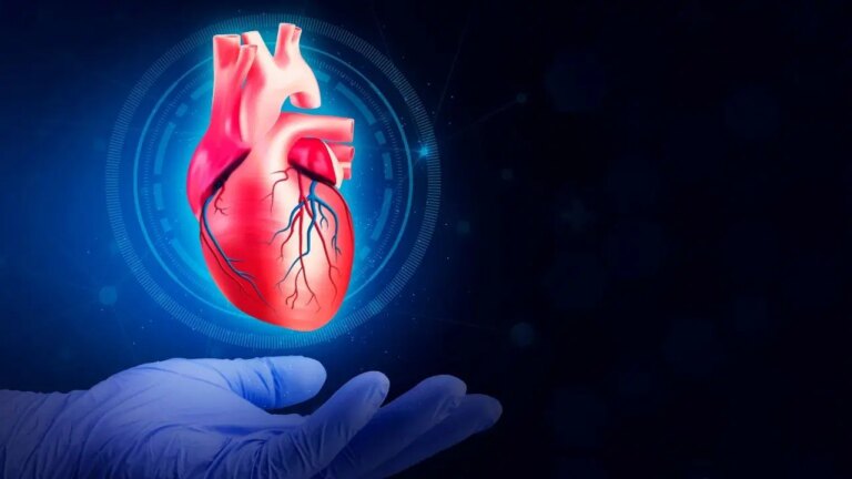 kalp sagligi icin hangi besinler tuketilmeli hangilerinden uzak durulmali PyRPvwcn