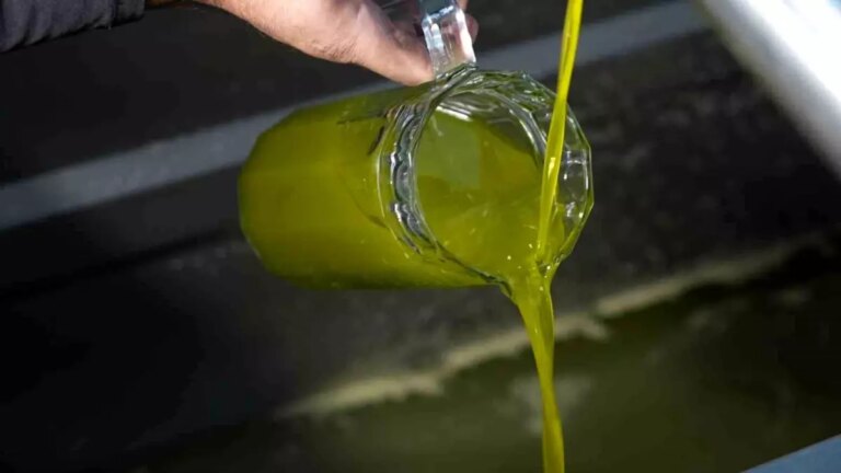 ayvalik zeytinyagi taklitleri ureticiyi zorluyor 7upIWOAy.jpg