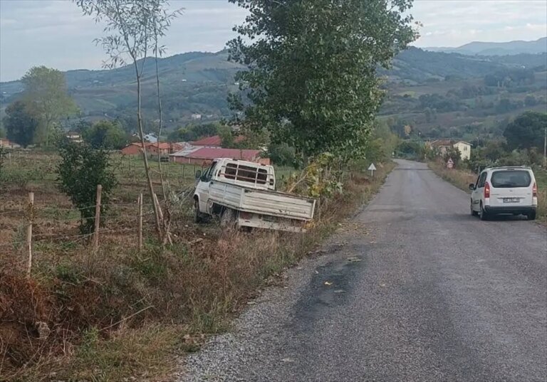 bafrada kamyonet bahce citlerine carpti ssR5HSZv.jpg