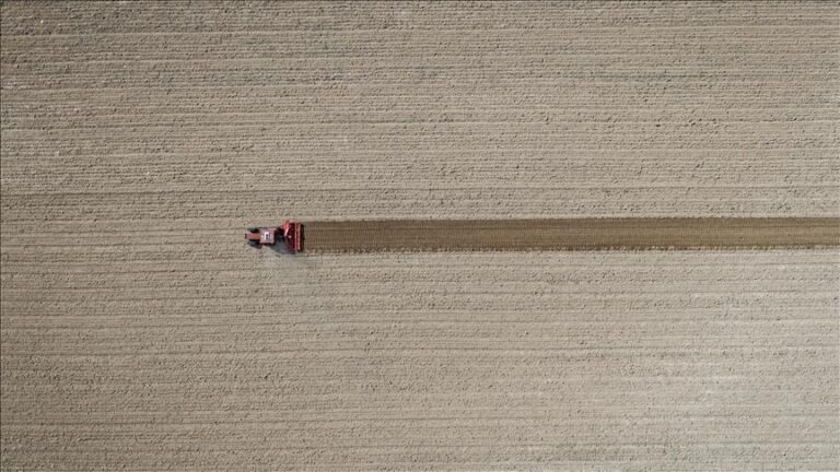 tarim ufe eylulde artti Pr5KaC23.jpg