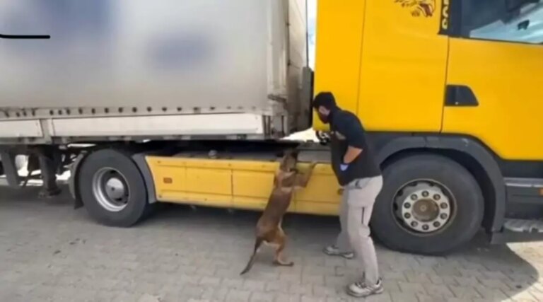 tosyada tirda metamfetamin ve silah ele gecirildi 5LdwaDxJ.jpg