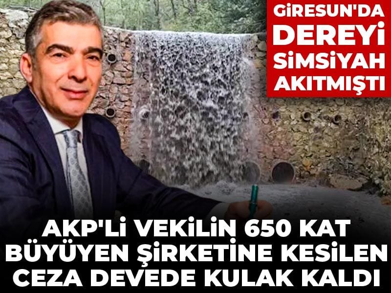AKP’li Milletvekilinin Şirketine Kesilen Ceza Yetersiz Kaldı: Giresun’da Dere Kirliliği Skandalı