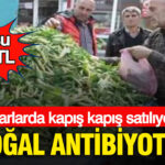 dogal-antibiyotik-pazarlarda-kapis-kapis-satiliyor-kilosu-100-tl-RF8xRb9M