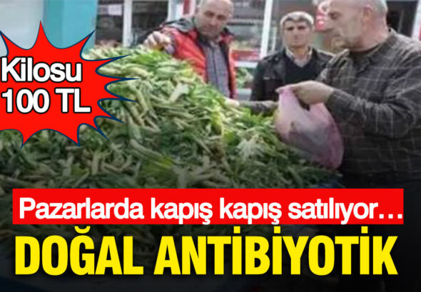 dogal-antibiyotik-pazarlarda-kapis-kapis-satiliyor-kilosu-100-tl-RF8xRb9M