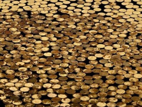 Mısır tarlasının ortasında milyonluk altın buldu