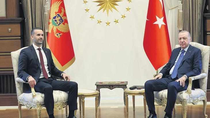 Avrupa sutunu guclenmeli vI9ks8eY