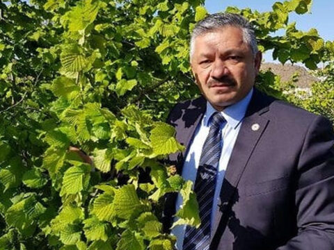 Findik ureticisine erken hasat uyarisi UhZdCTVT