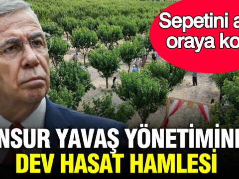 Mansur yavas yonetiminden dev hasat hamlesi sepetini alan oraya kostu 9GyZnffO